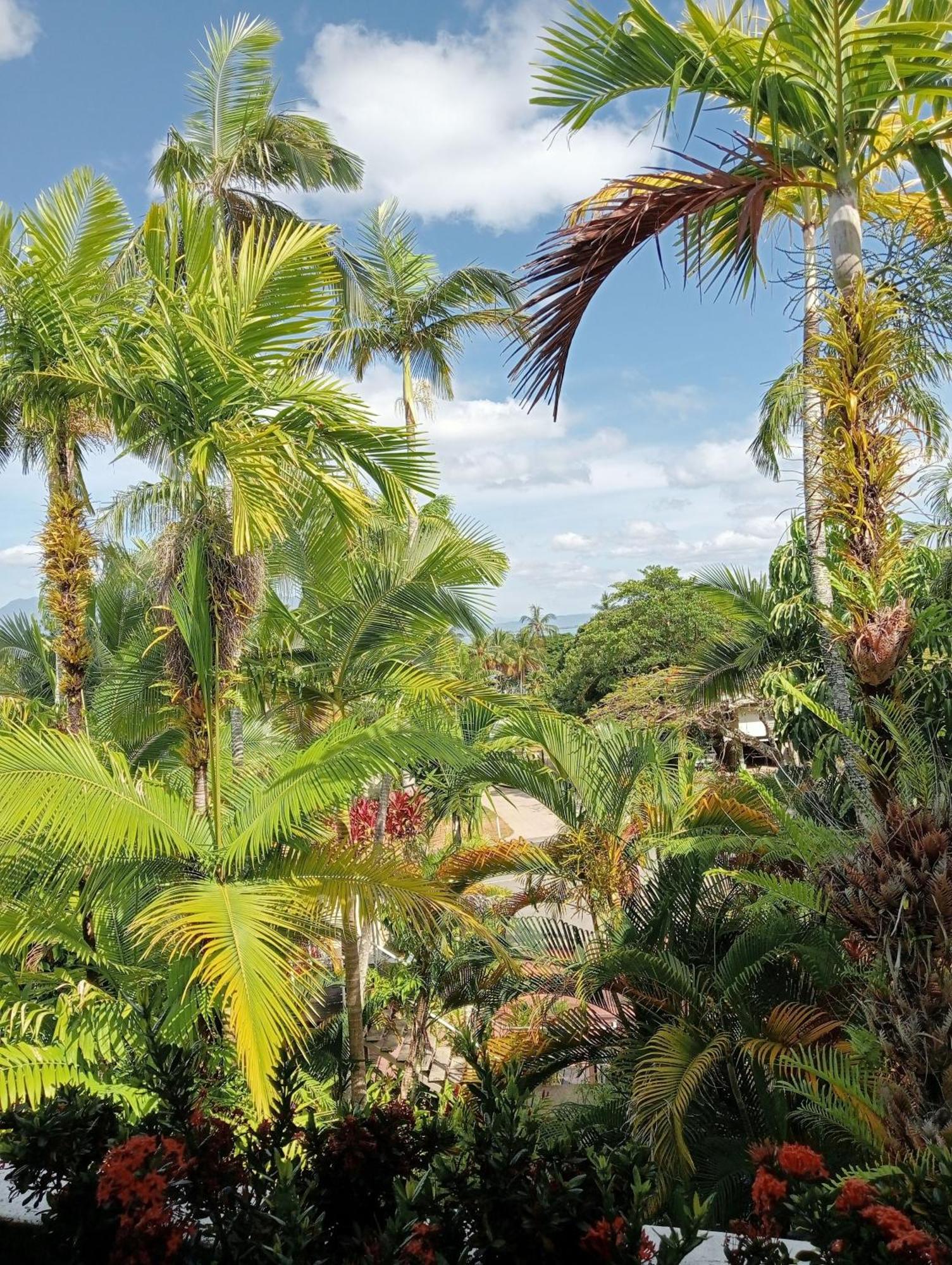 Club Tropical Resort - Official Onsite Reception & Check In Port Douglas Extérieur photo